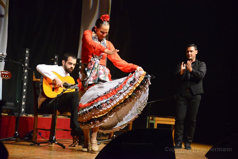 Flamenco-009