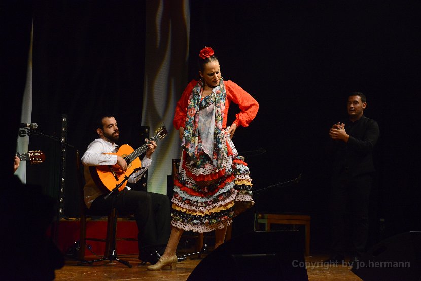Flamenco-011