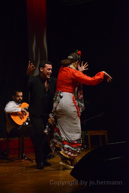Flamenco-012