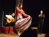 Flamenco-009.jpg