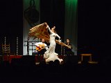 Flamenco-019.jpg