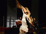 Flamenco-021.jpg