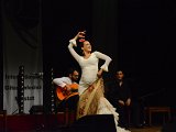 Flamenco-022.jpg