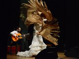 Flamenco-024.jpg