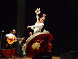 Flamenco-025.jpg