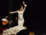 Flamenco-026.jpg