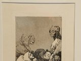 Goya-036.jpg
