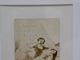Goya-037.jpg