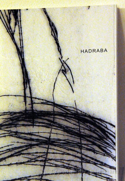 Hadraba_Falllinien-007
