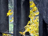 Herbsteindrücke-006.jpg