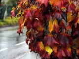 Herbsteindrücke-022.jpg