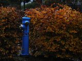 Herbsteindrücke-023.jpg