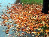 Herbsteindrücke-025.jpg
