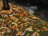 Herbsteindrücke-028.jpg