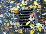 Herbsteindrücke-029.jpg