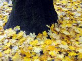 Herbsteindrücke-030.jpg