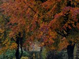Herbsteindrücke-035.jpg
