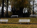Herbsteindrücke-042.jpg