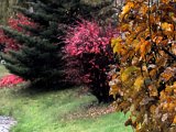 Herbsteindrücke-046.jpg