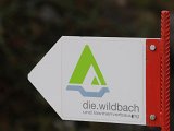 Wildbachverbau-002.jpg
