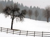 Winterlandschaften-018.jpg