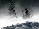 Winterlandschaften-023.jpg